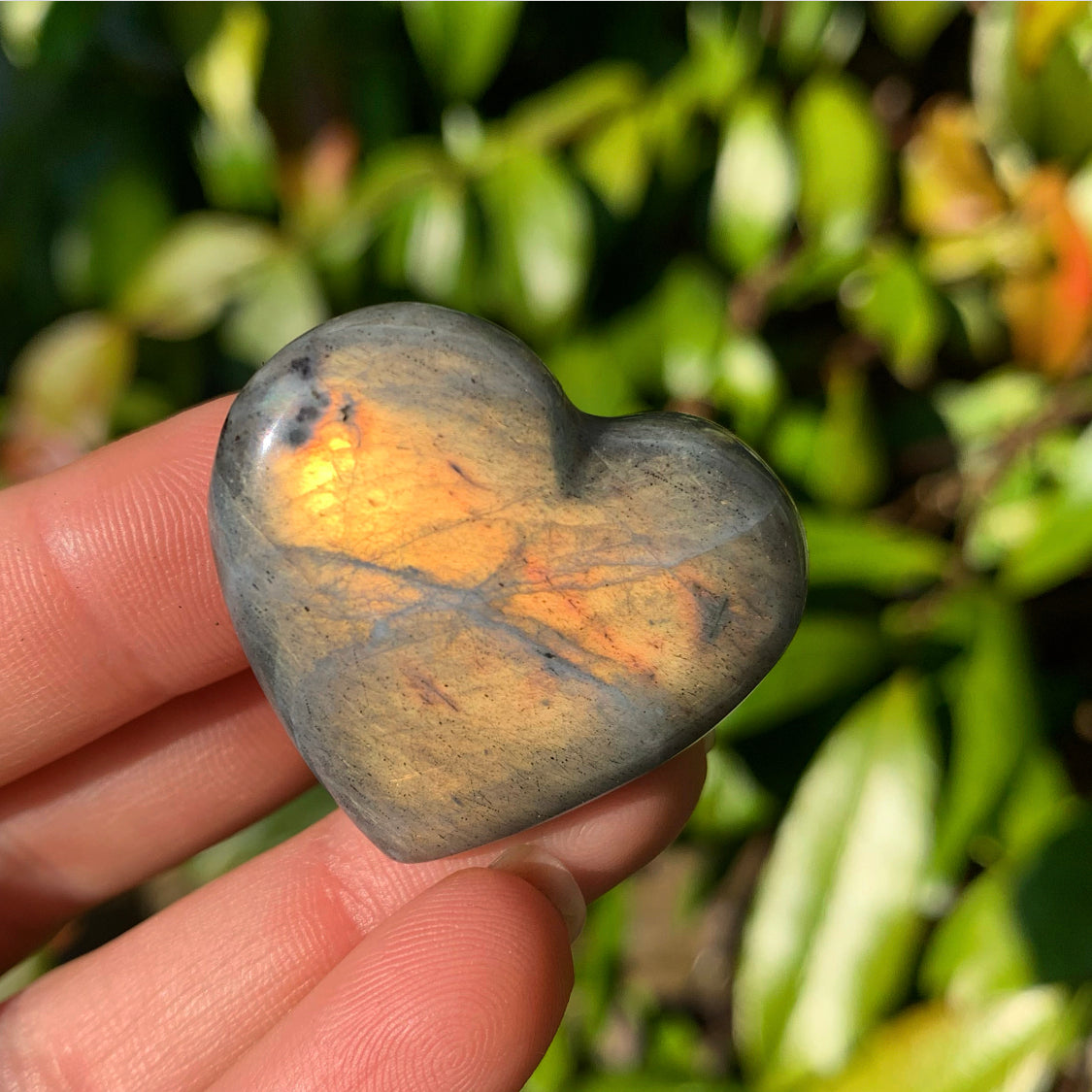 High Grade Mini Labradorite Heart
