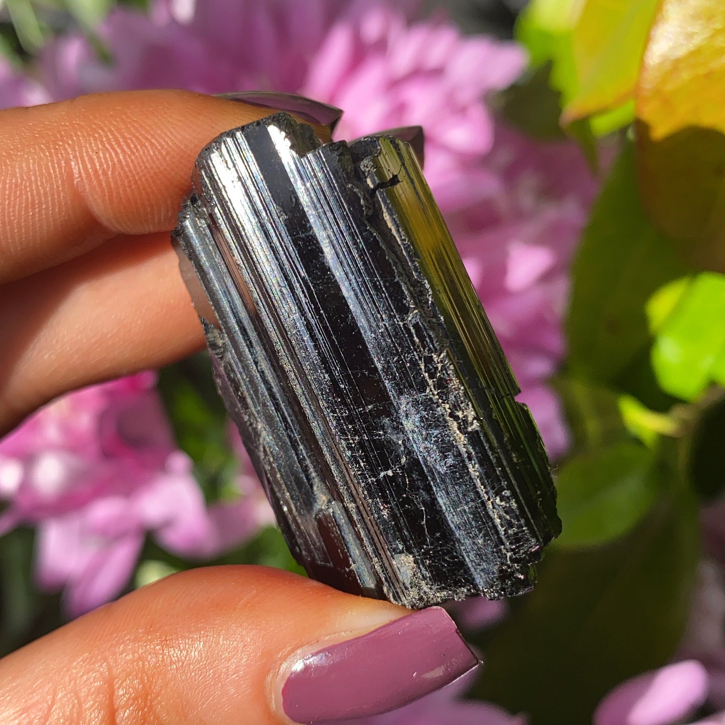 Black Tourmaline