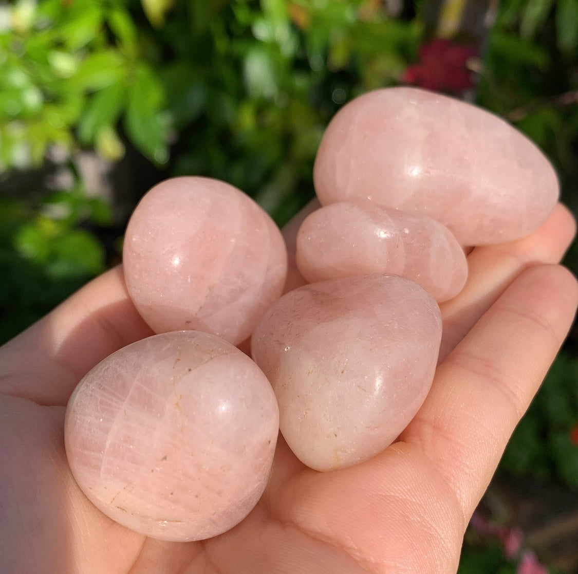 Rose Quartz Tumblestones
