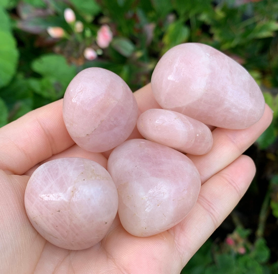 Rose Quartz Tumblestones