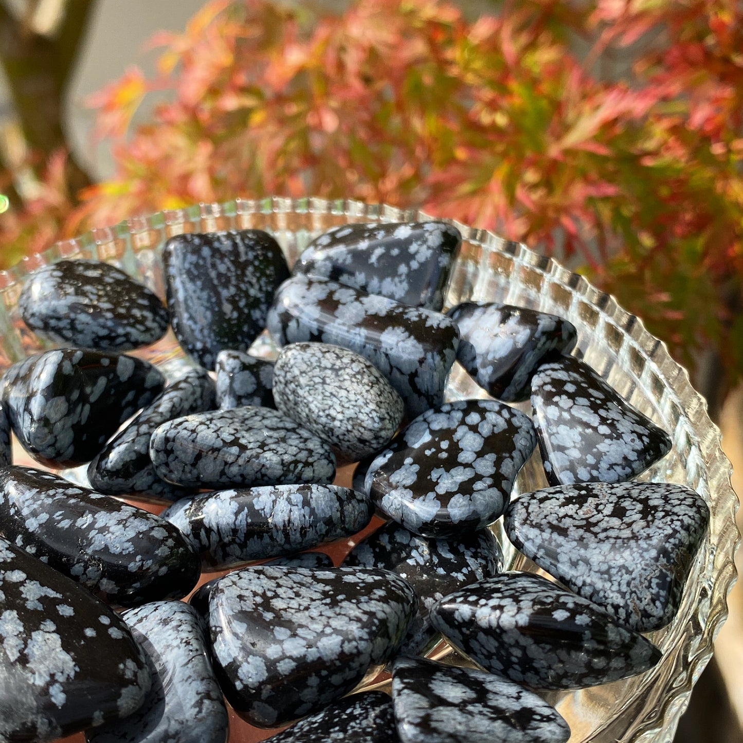Snowflake Obsidian Tumblestones