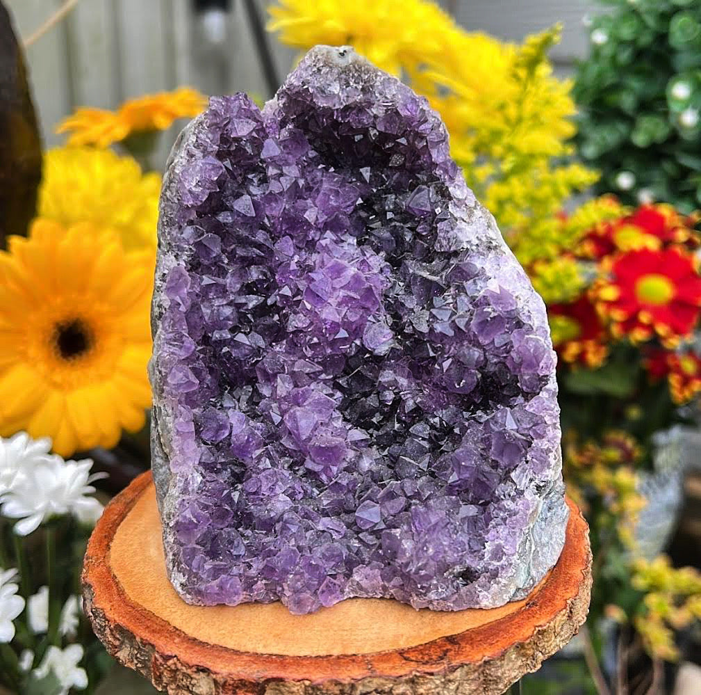 Uruguayan Amethyst Cluster #11