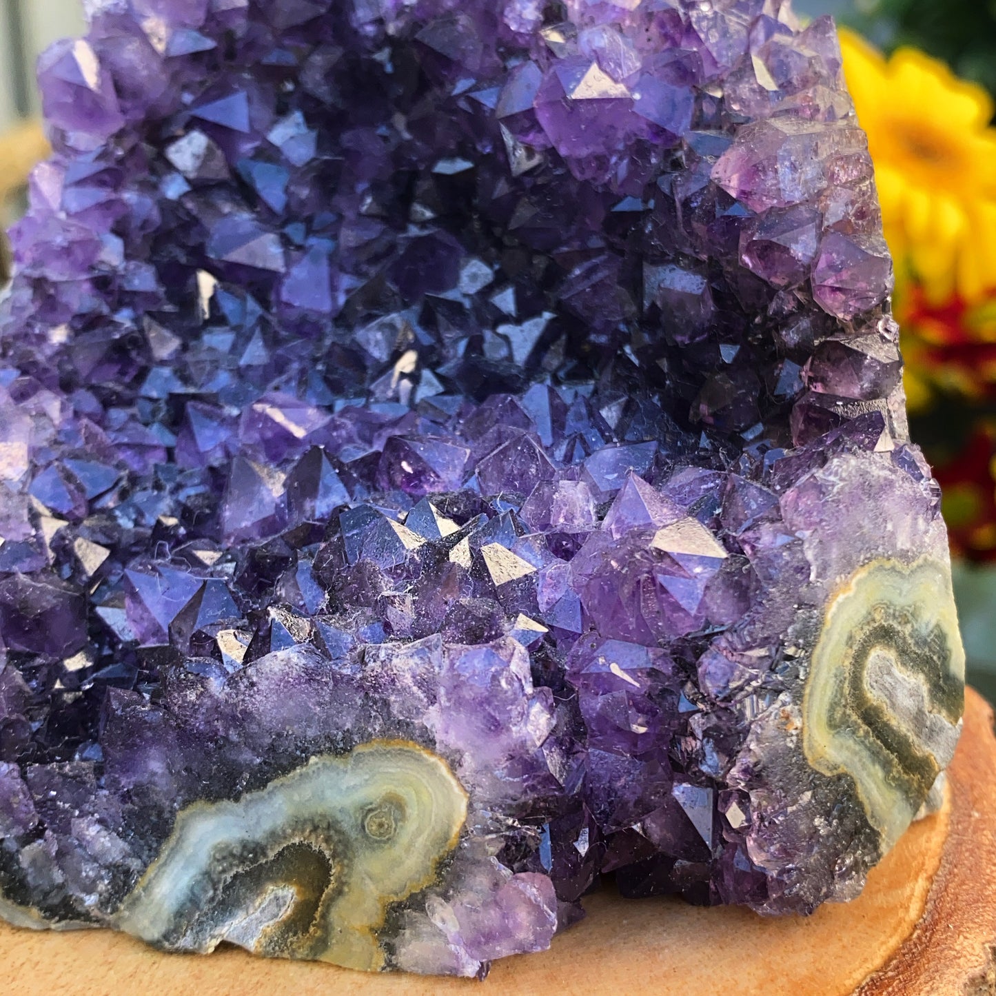 Uruguayan Amethyst Cluster #13