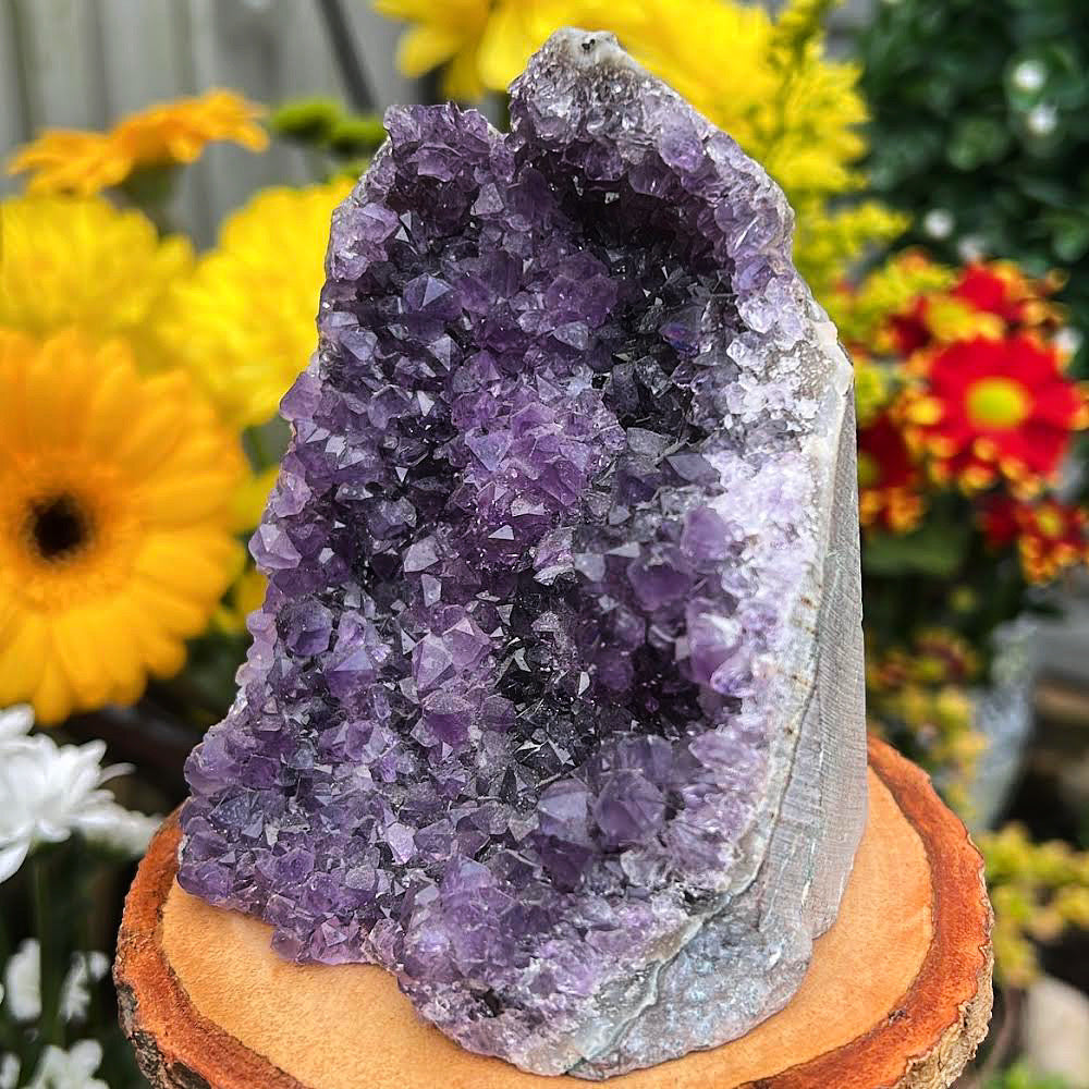 Uruguayan Amethyst Cluster #11