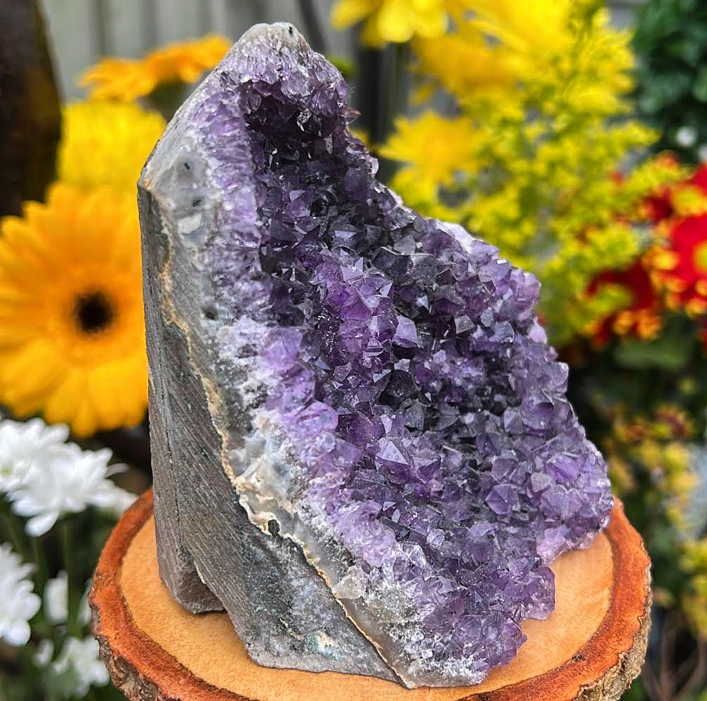 Uruguayan Amethyst Cluster #11