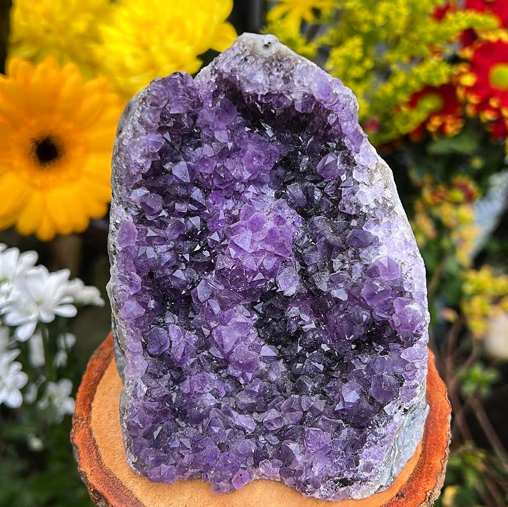 Uruguayan Amethyst Cluster #11