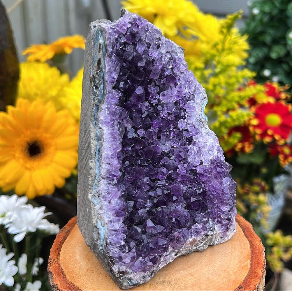 Uruguayan Amethyst Cluster #12