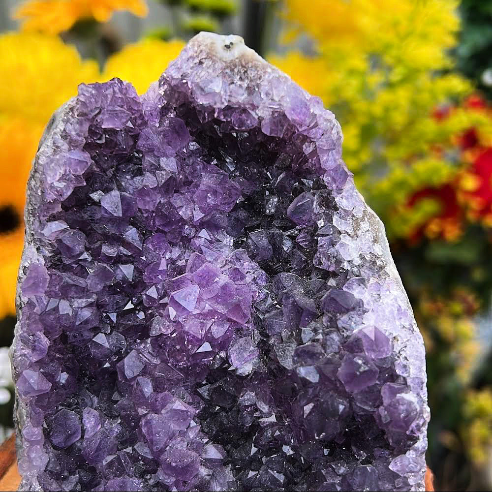 Uruguayan Amethyst Cluster #11