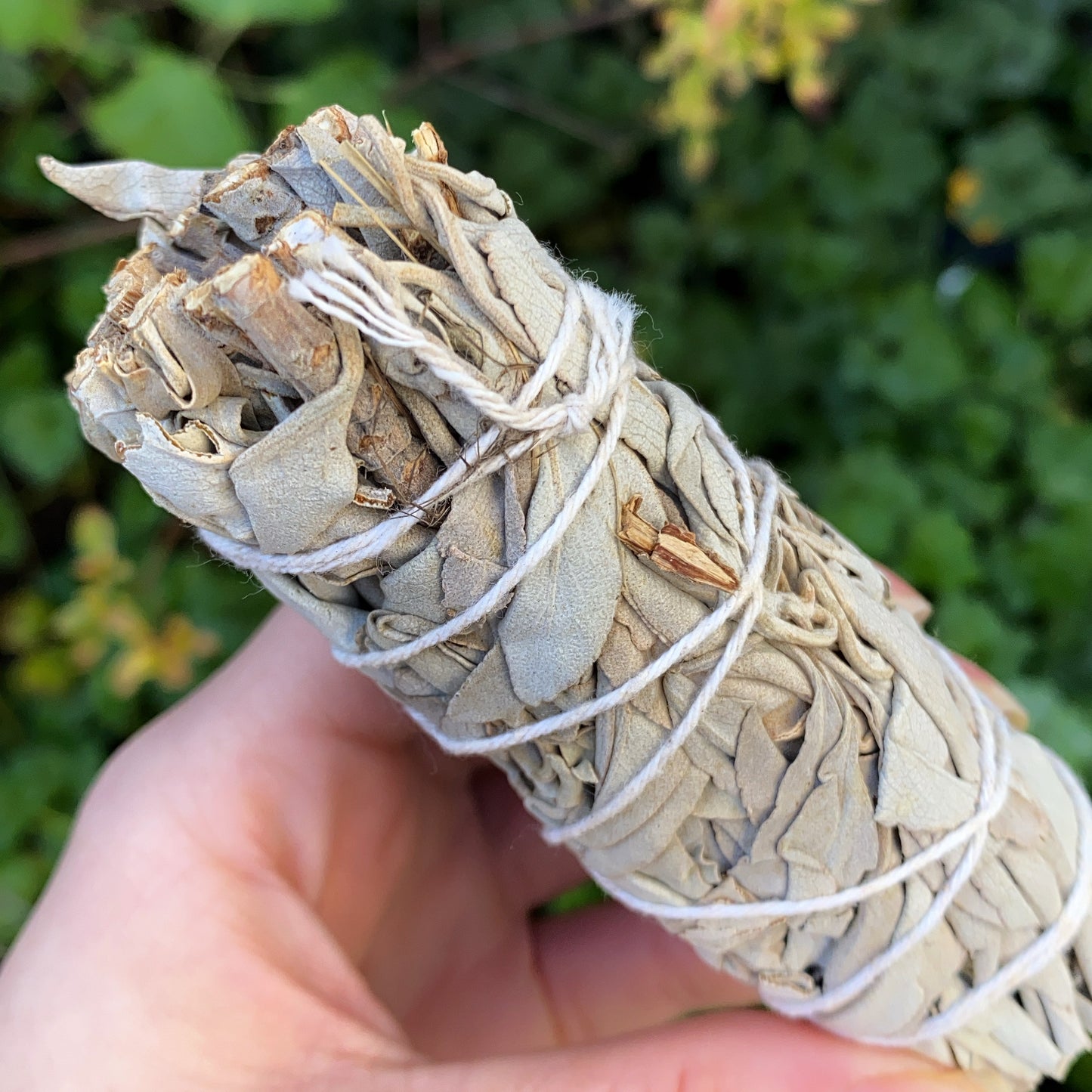 white sage smudge stick