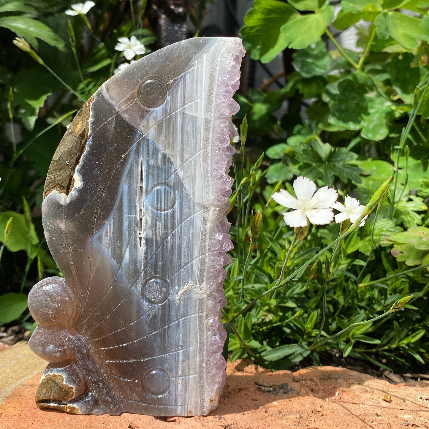 Amethyst Fairy