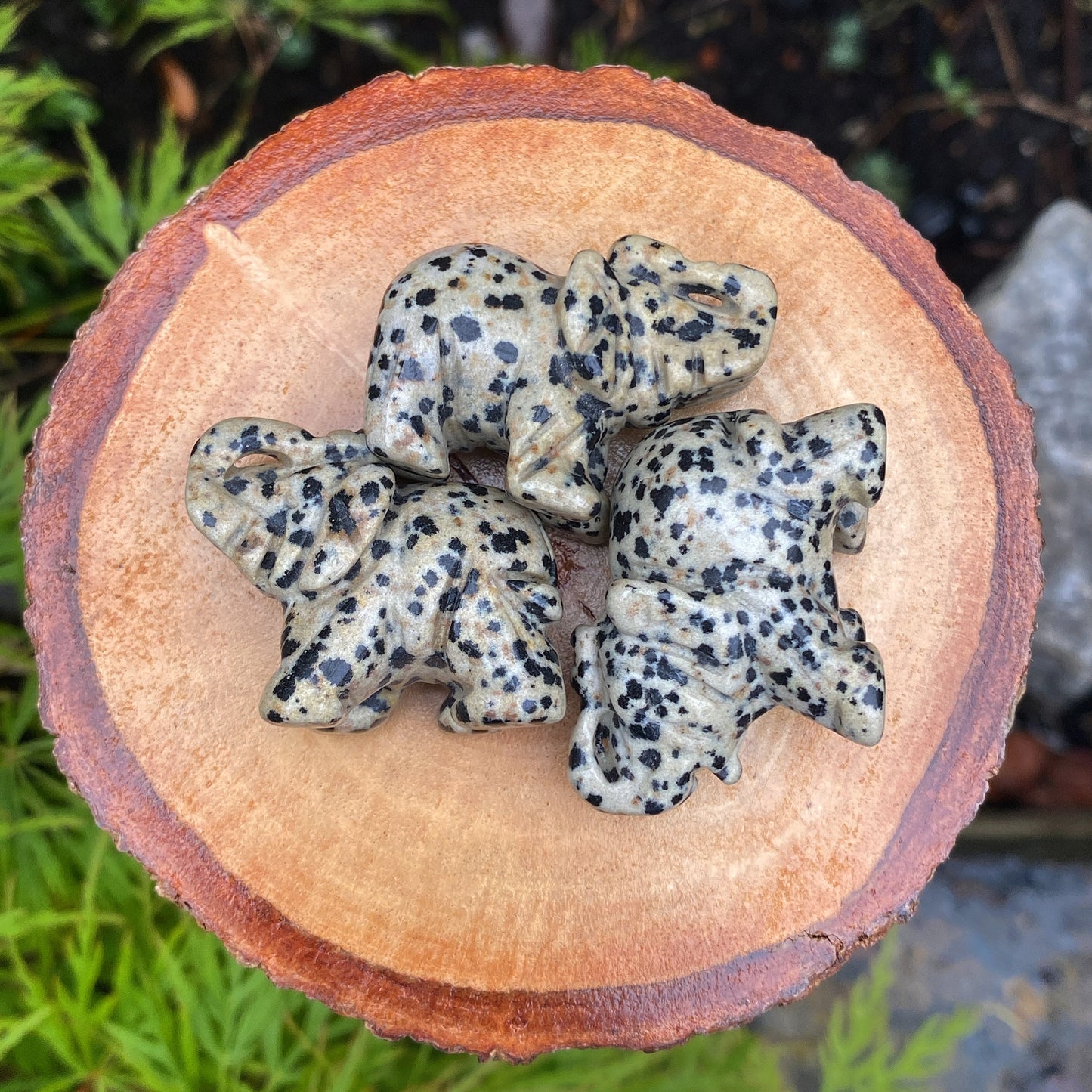 Dalmatian Jasper Elephant