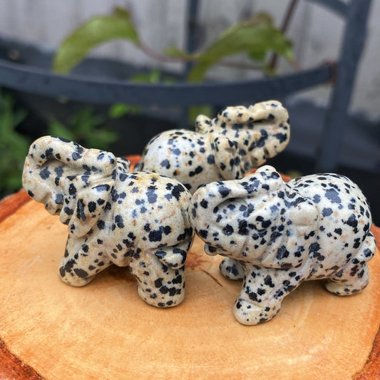 Dalmatian Jasper Elephant