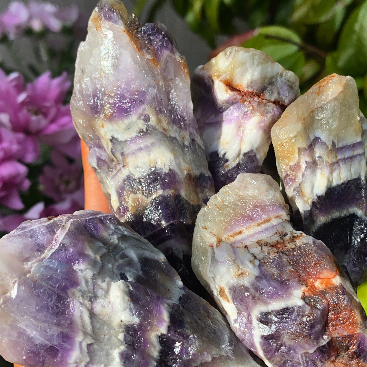 Dream Amethyst Shards