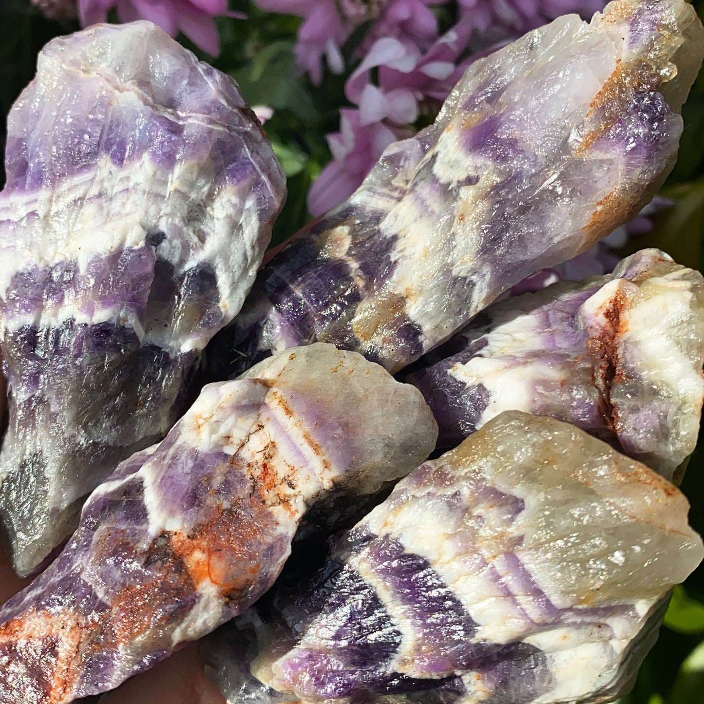 Dream Amethyst Shards