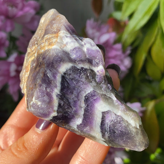 Dream Amethyst Shards