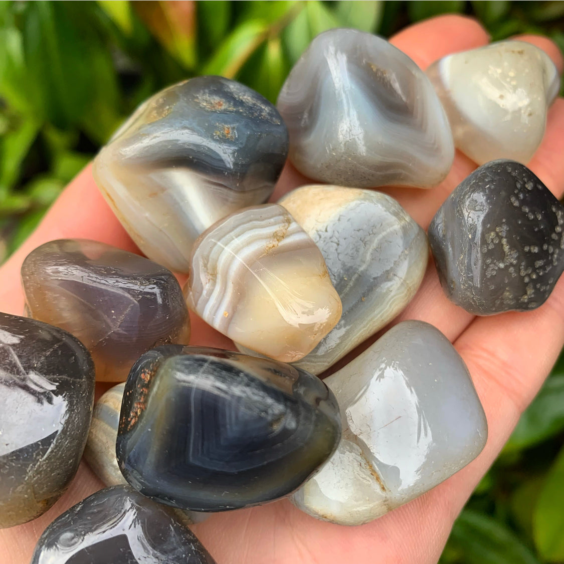 Grey Agate Tumblestones