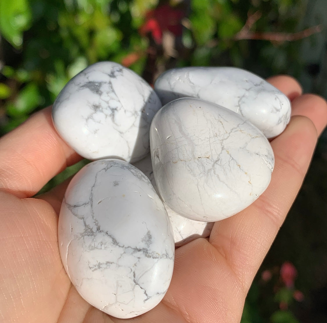 Howlite Tumblestone