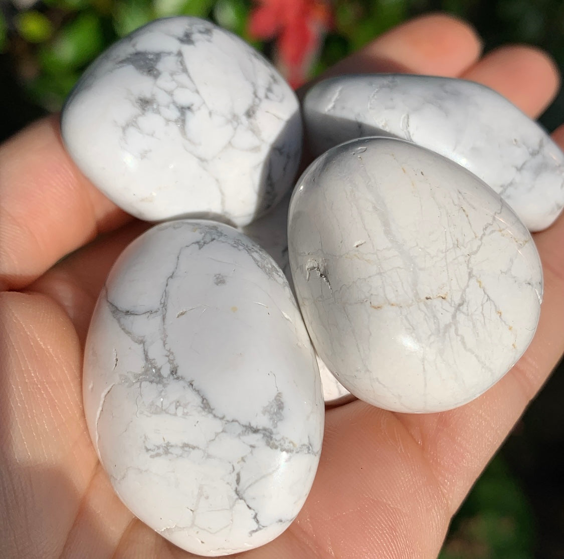Howlite Tumblestone