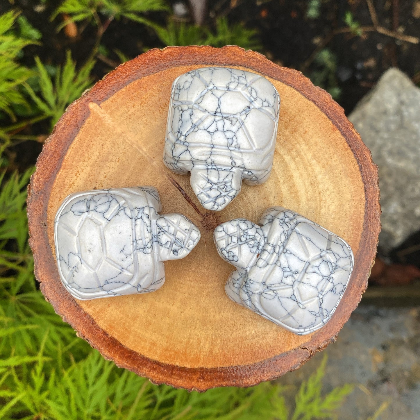 Howlite Tortoise