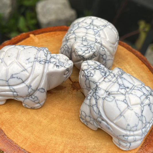 Howlite Tortoise
