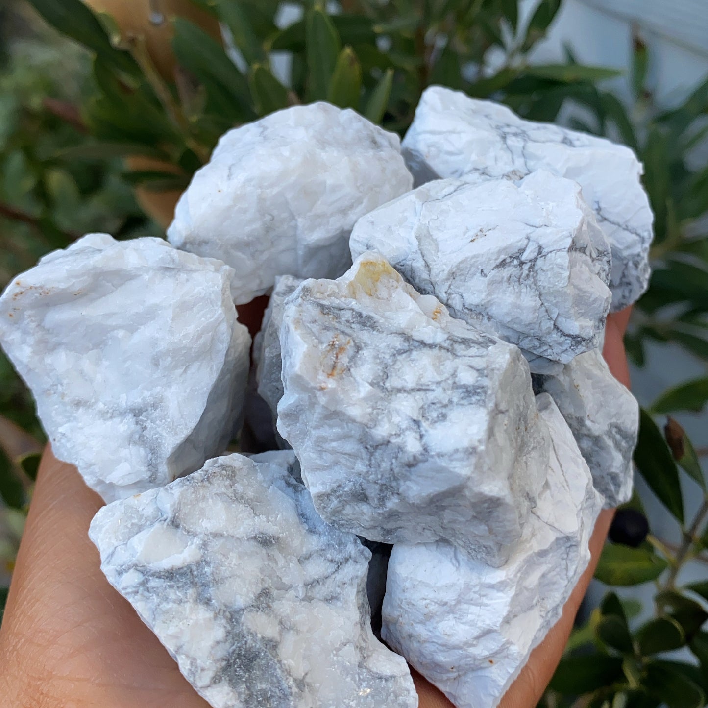 Howlite Rough Crystal