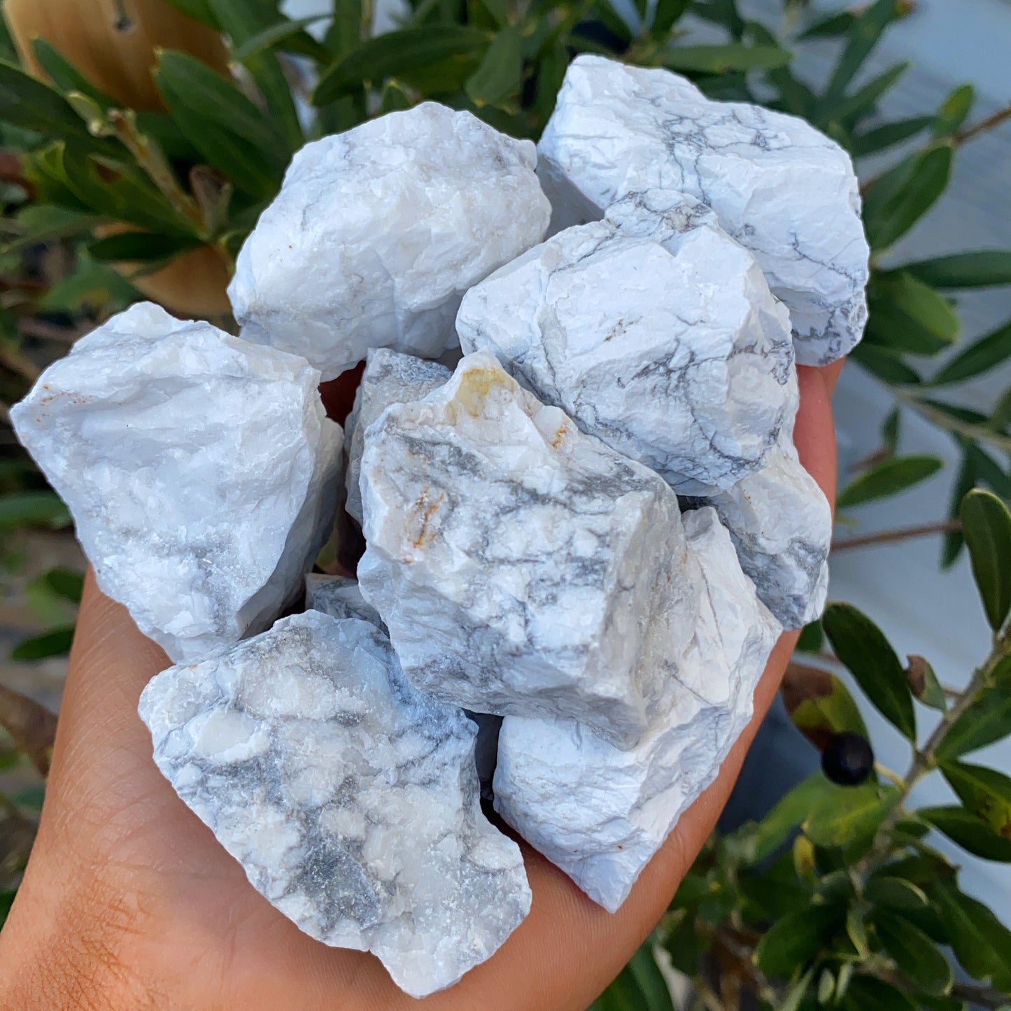 Howlite Rough Crystal
