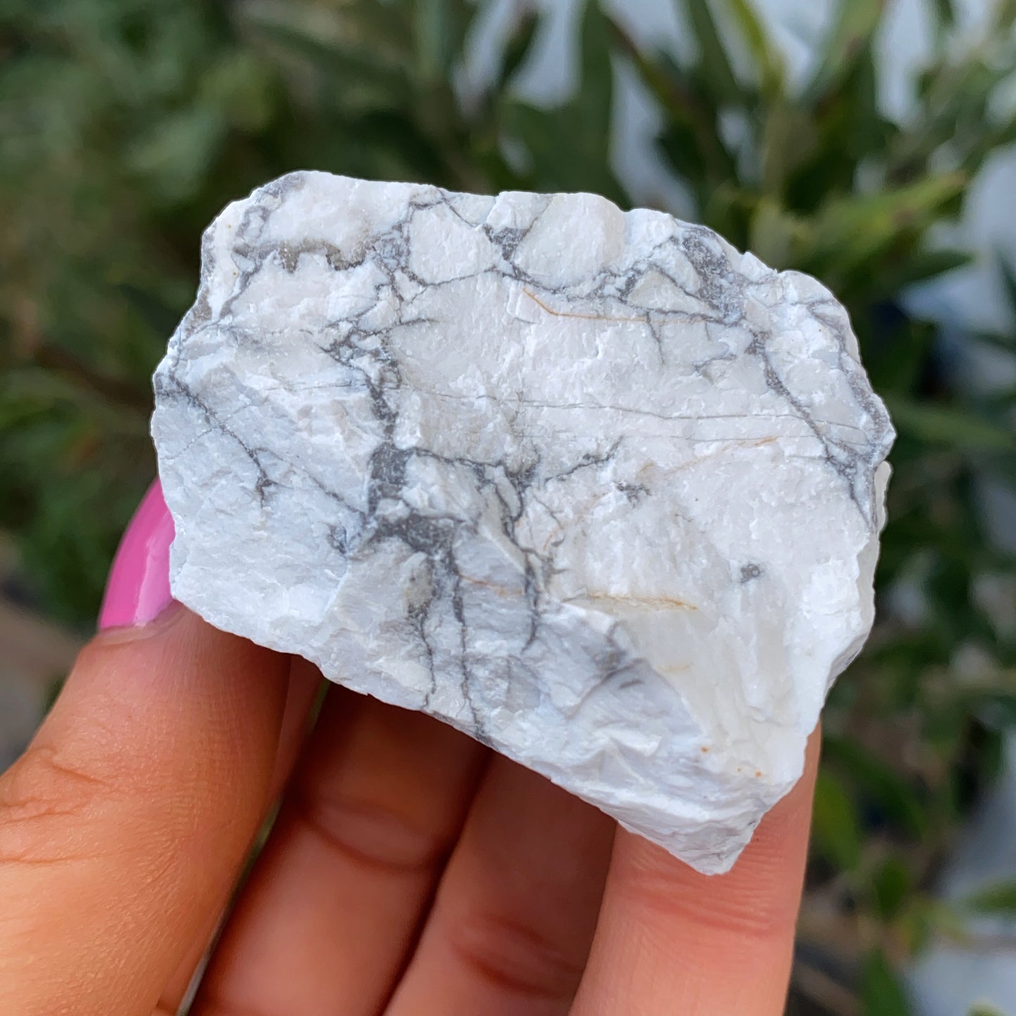 Howlite Rough Crystal