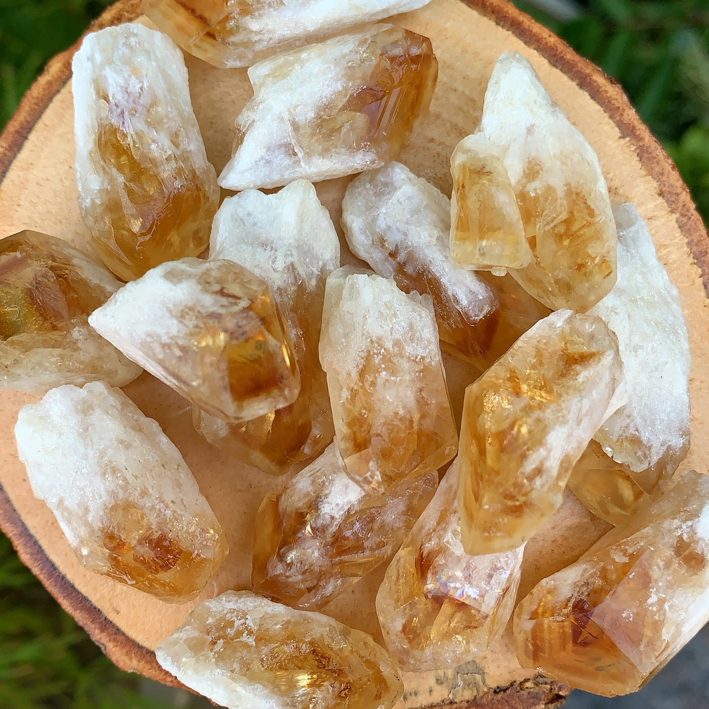 Mini Citrine Shards