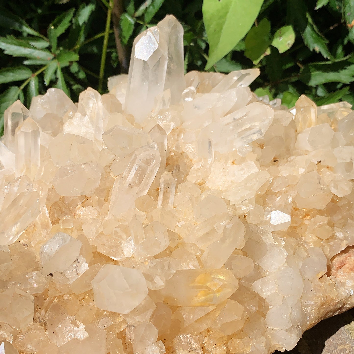 Enchanting Large Clear Quartz Cluster - 3.3KG