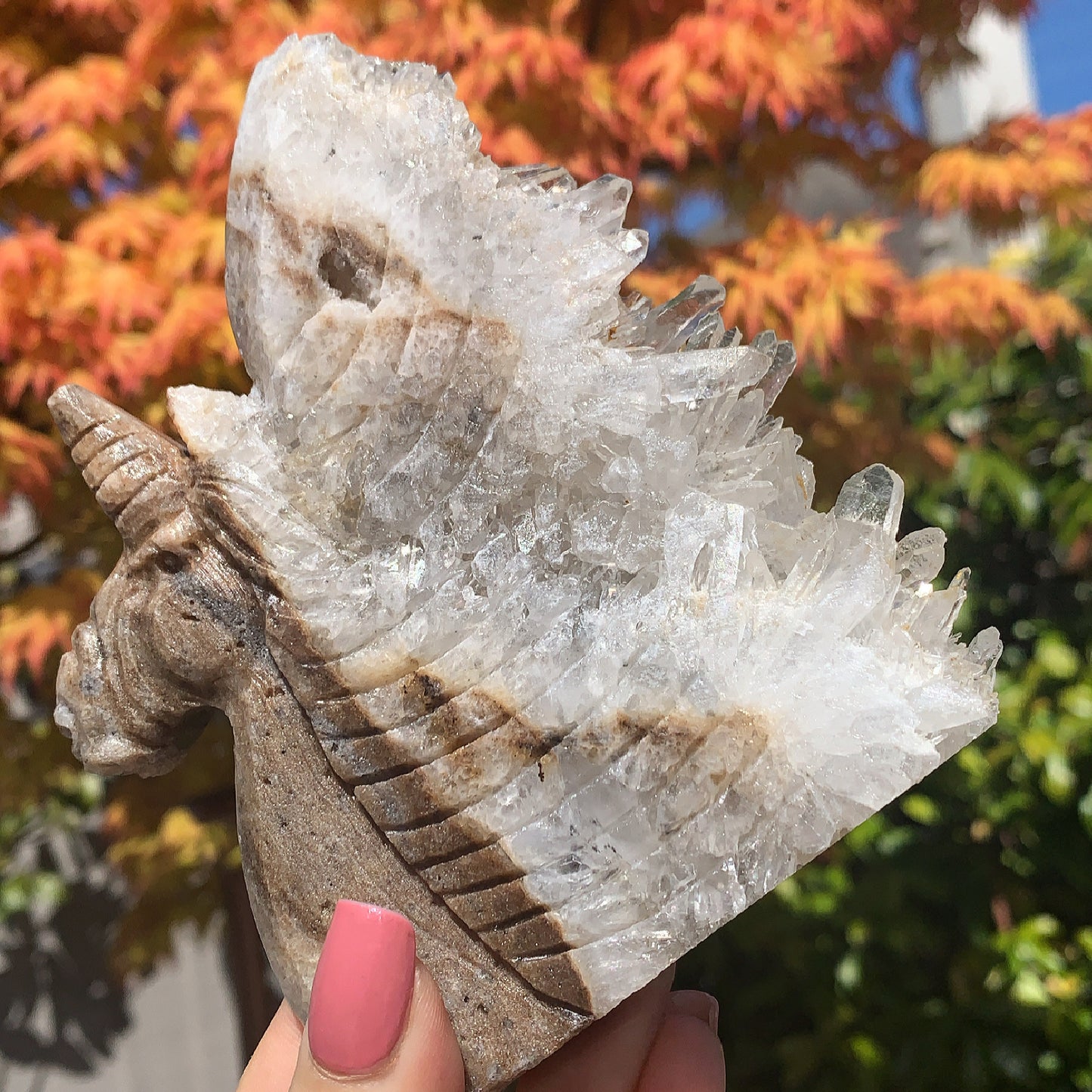 Raw Clear Quartz Unicorn