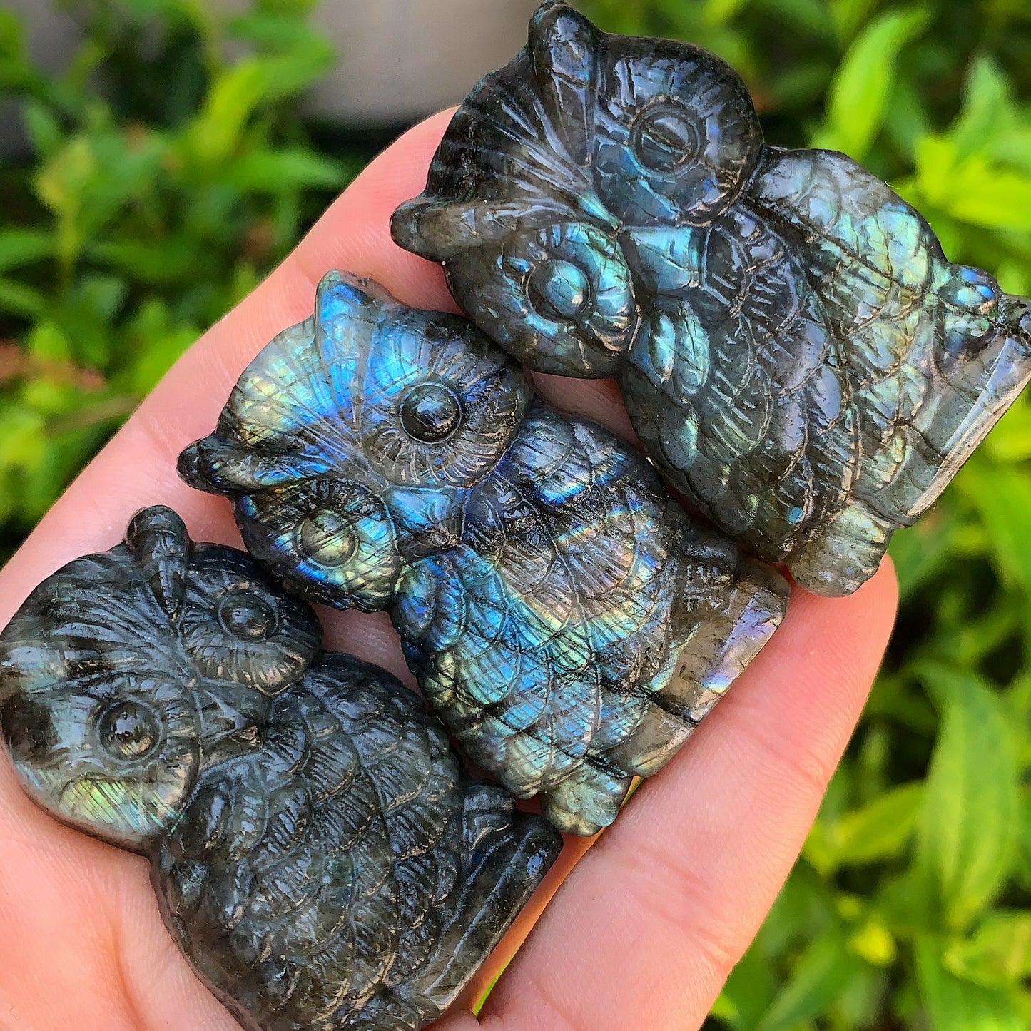 Hand Carved Labradorite Owl