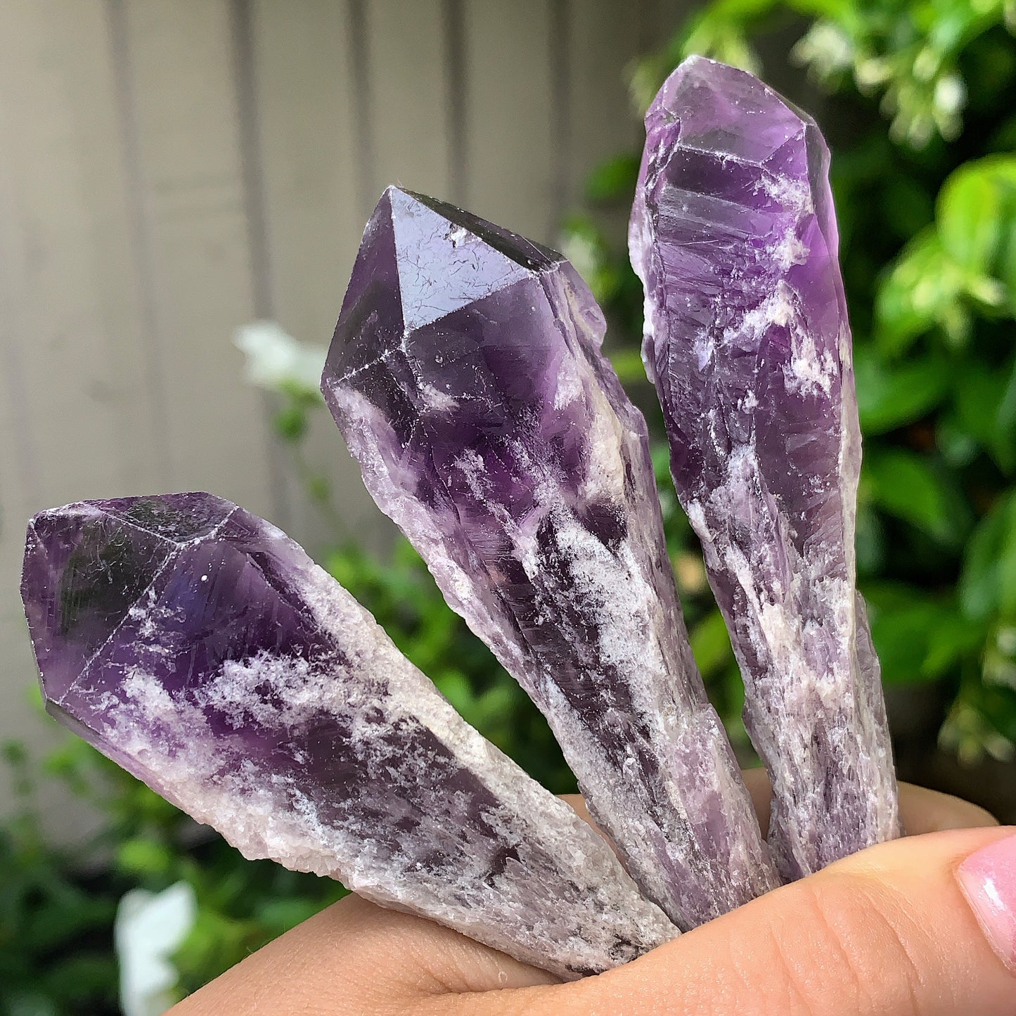 Raw Amethyst Shards