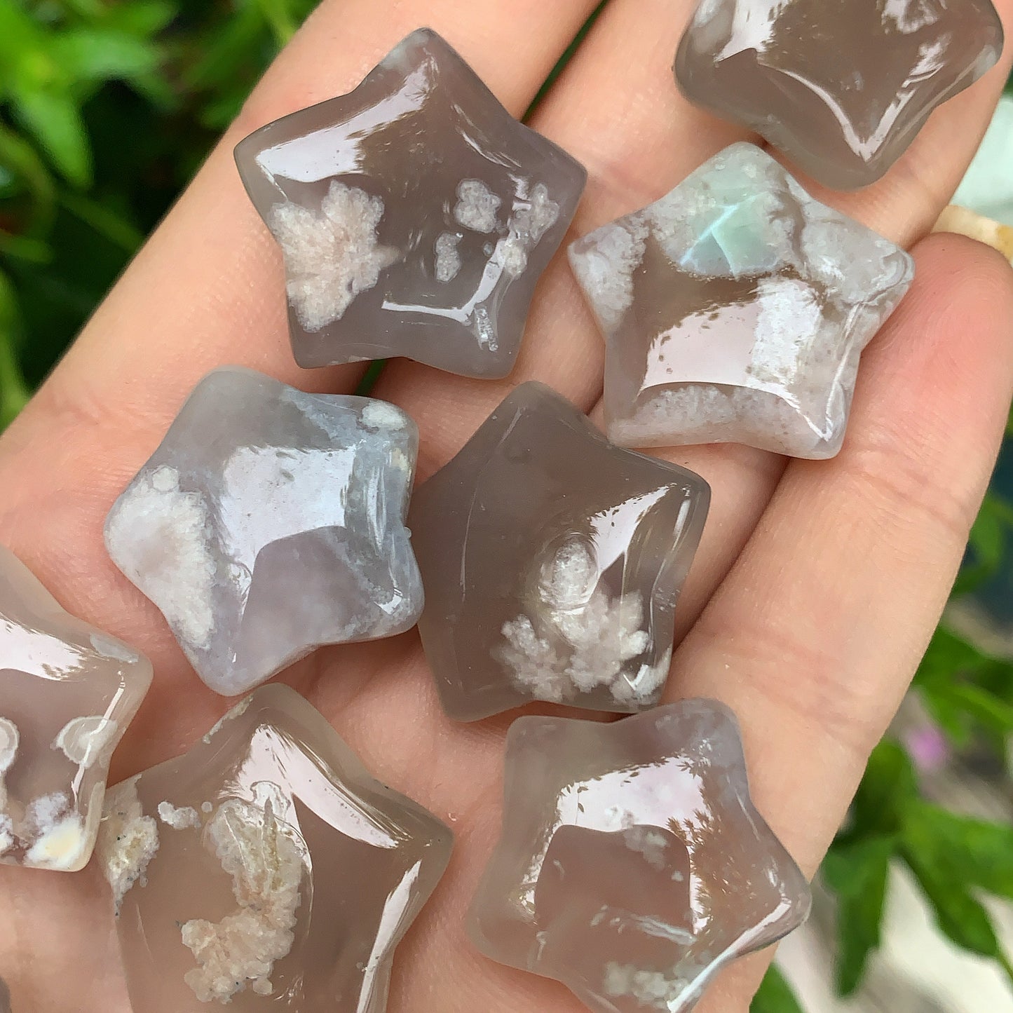 Coral Jade Stars