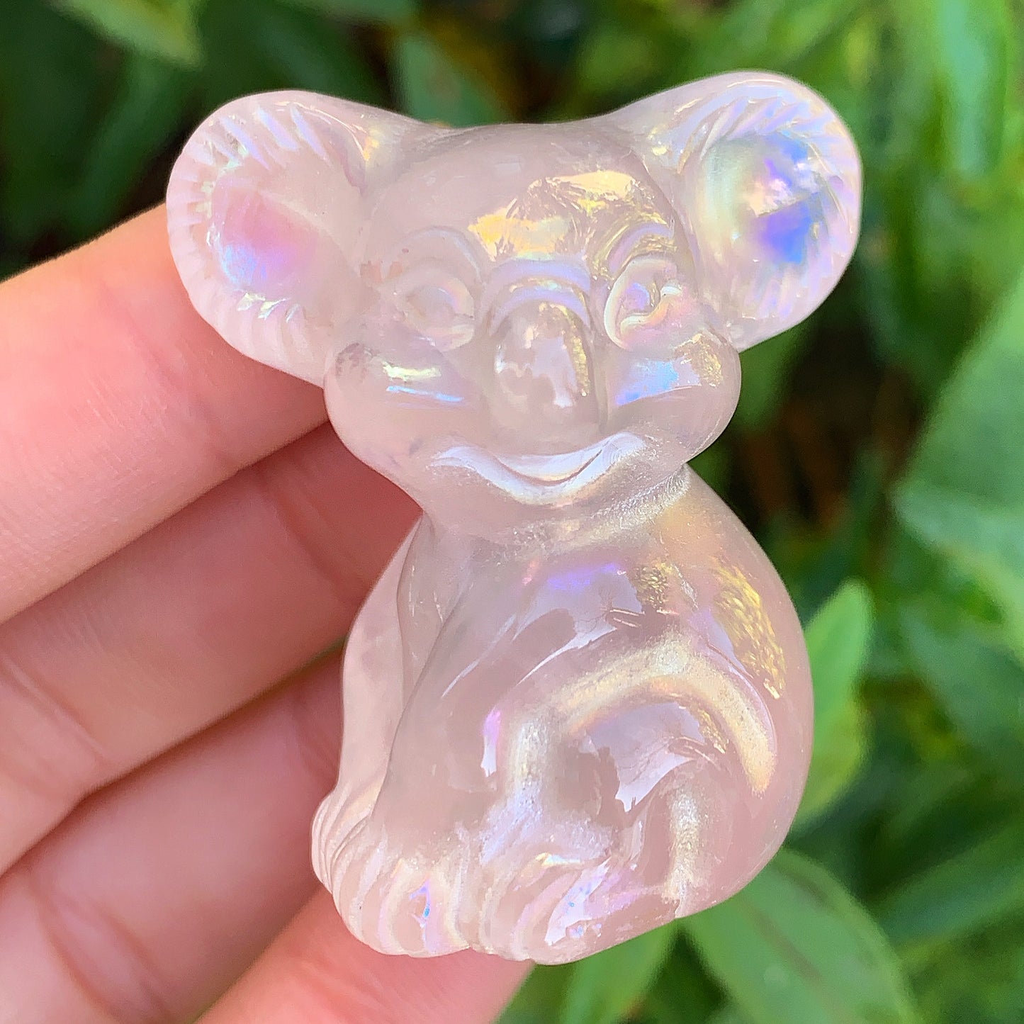 Koala Bear Rose Quartz Angel Aura