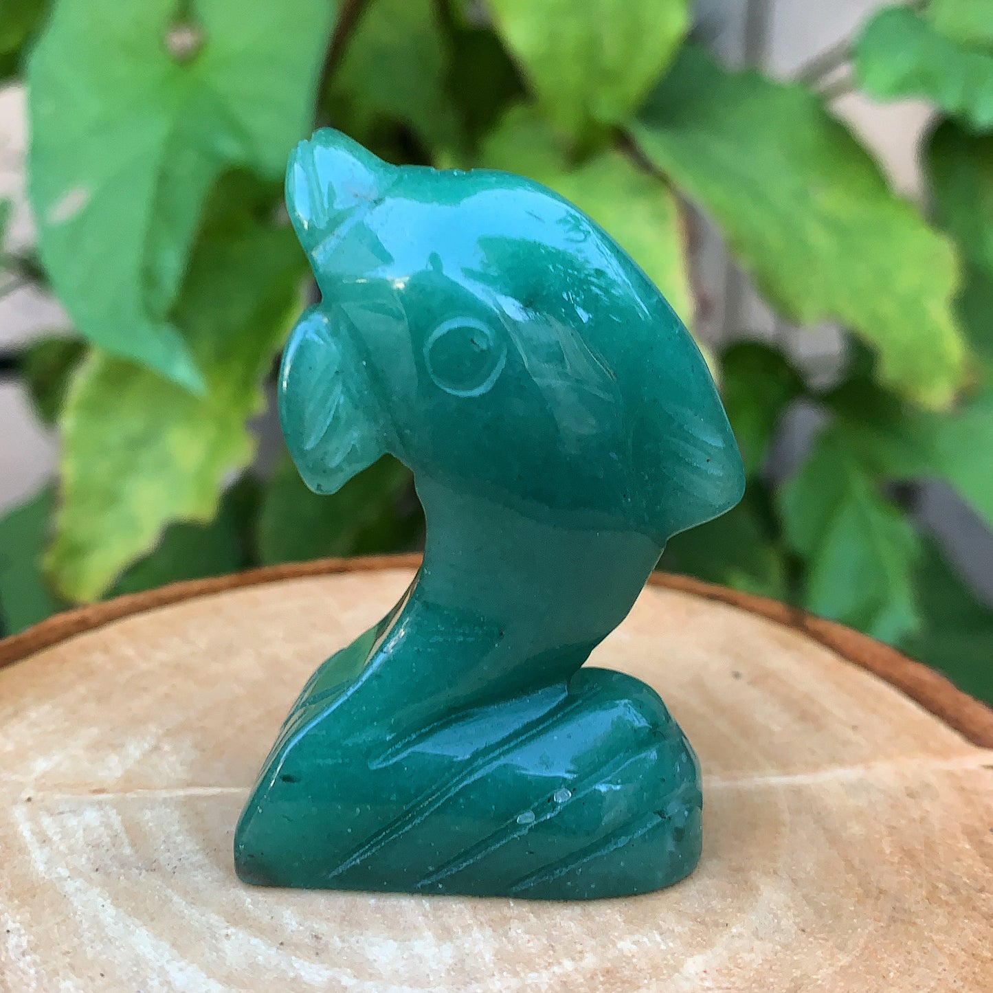 Crystal Dolphin