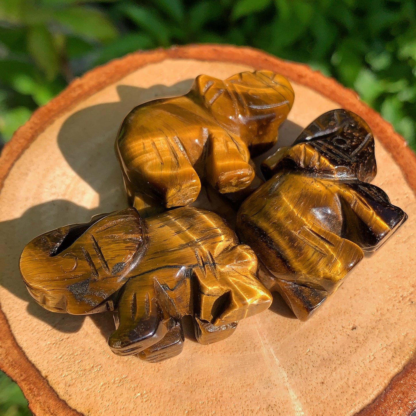 Tigers Eye Elephant