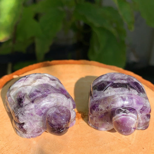 Amethyst Tortoise