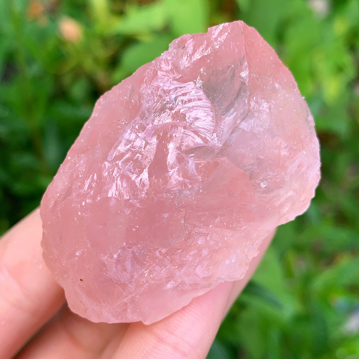 Rose Quartz Rough Raw Crystal