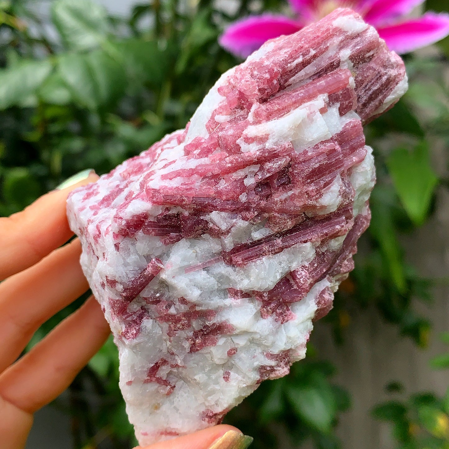 Raw Pink Tourmaline #2