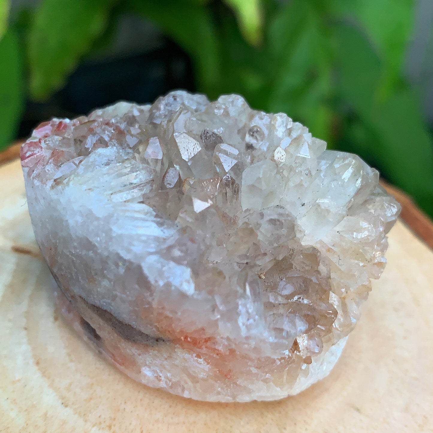 Quartz Hedgehog