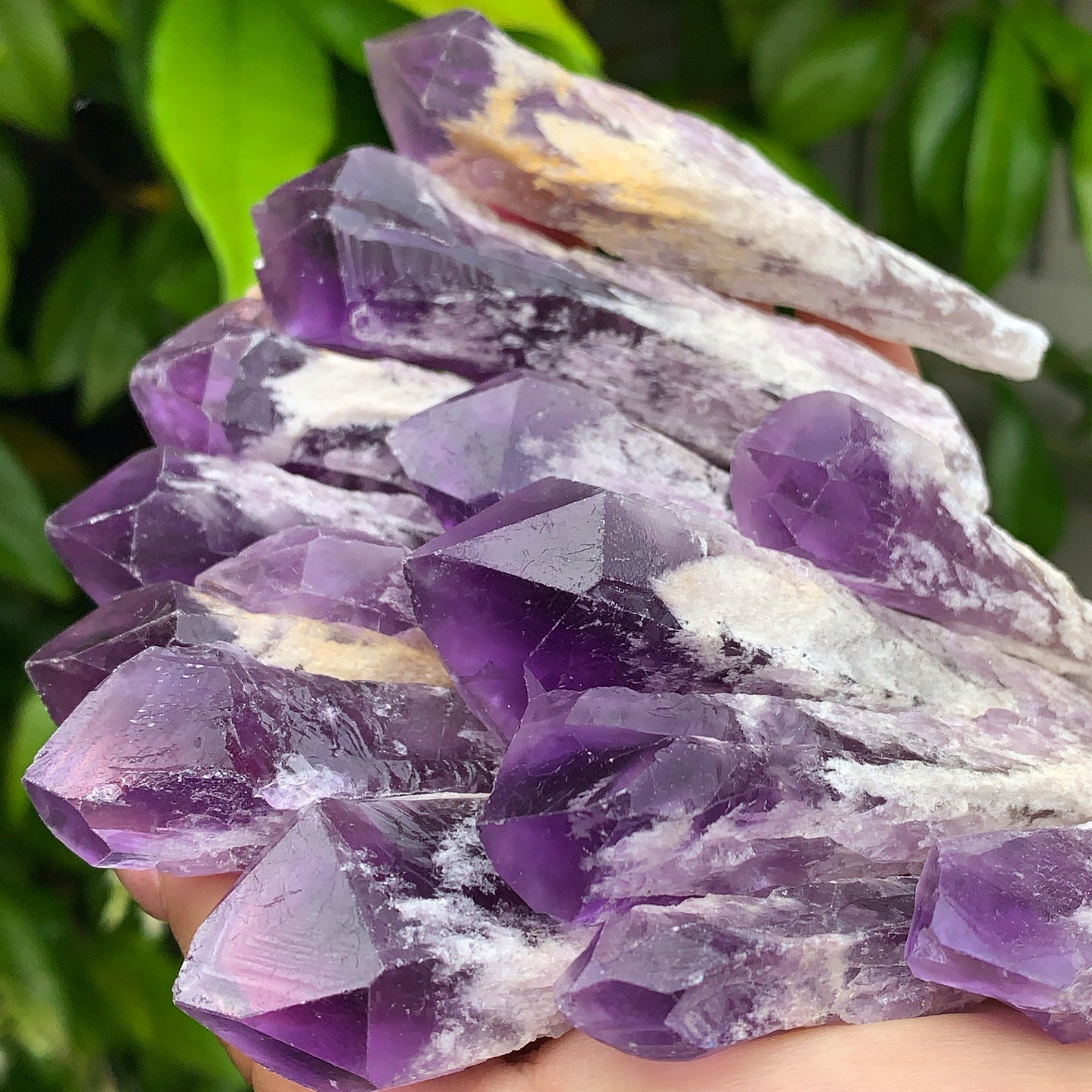 Raw Amethyst Shards