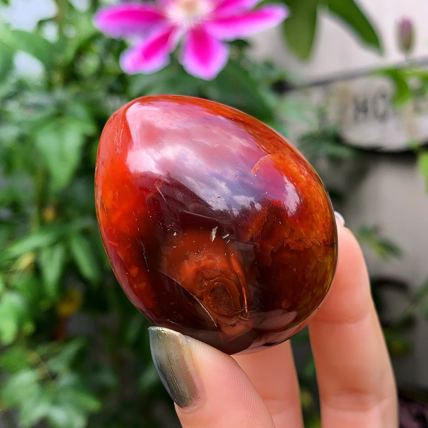 Carnelian Eggs