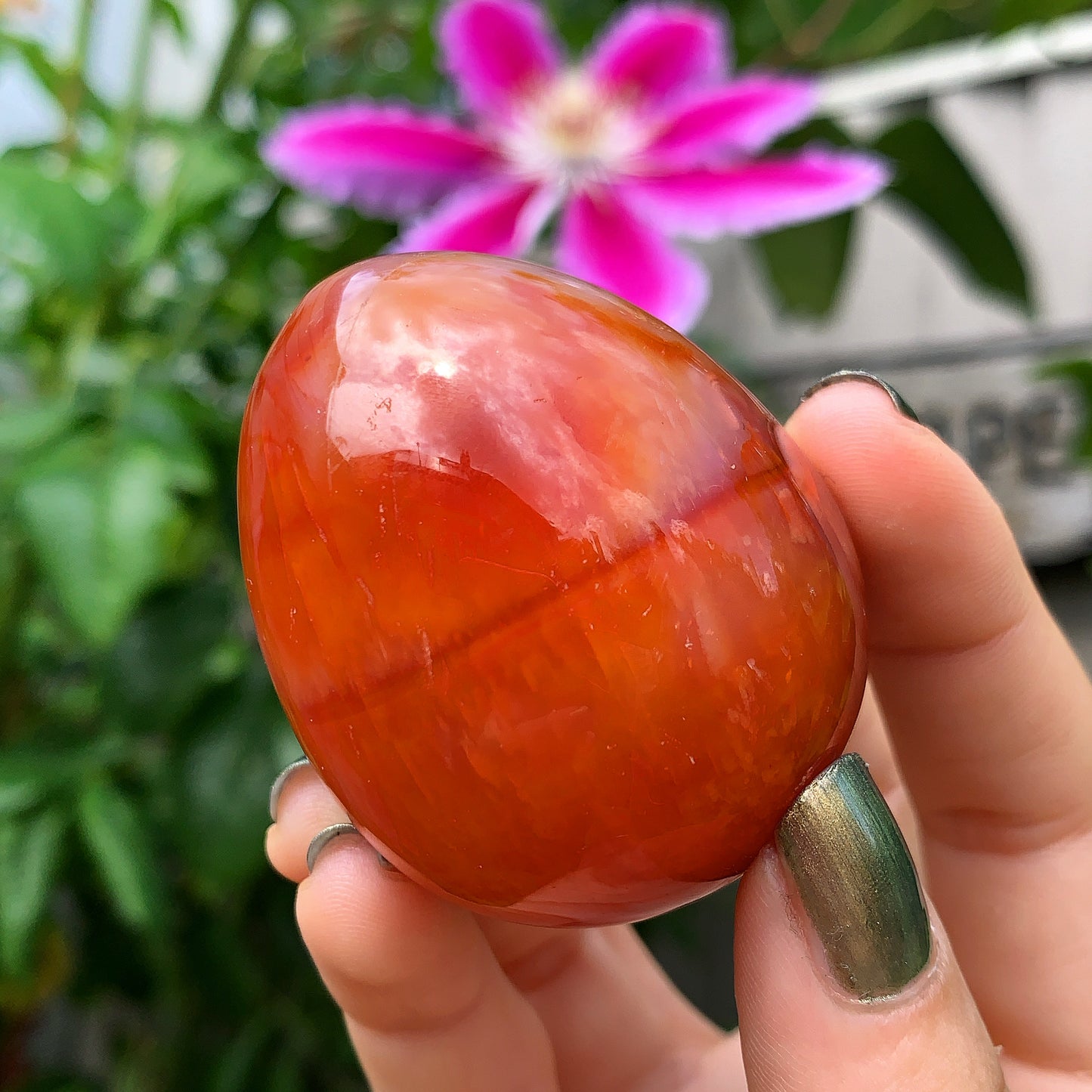 Carnelian Eggs