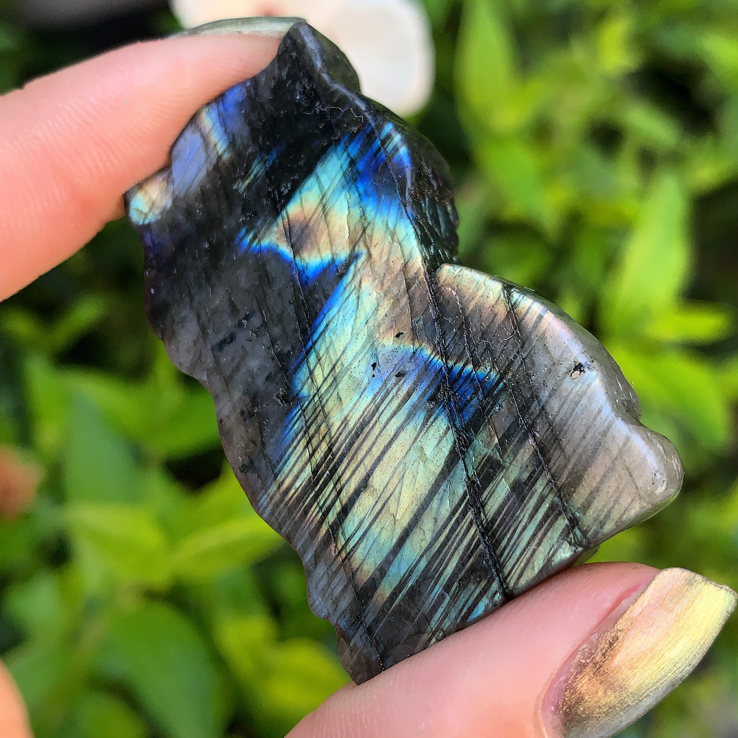 Hand Carved Labradorite Owl