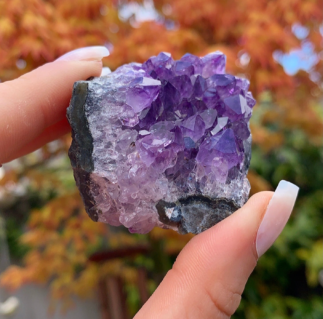 Raw Amethyst Cluster