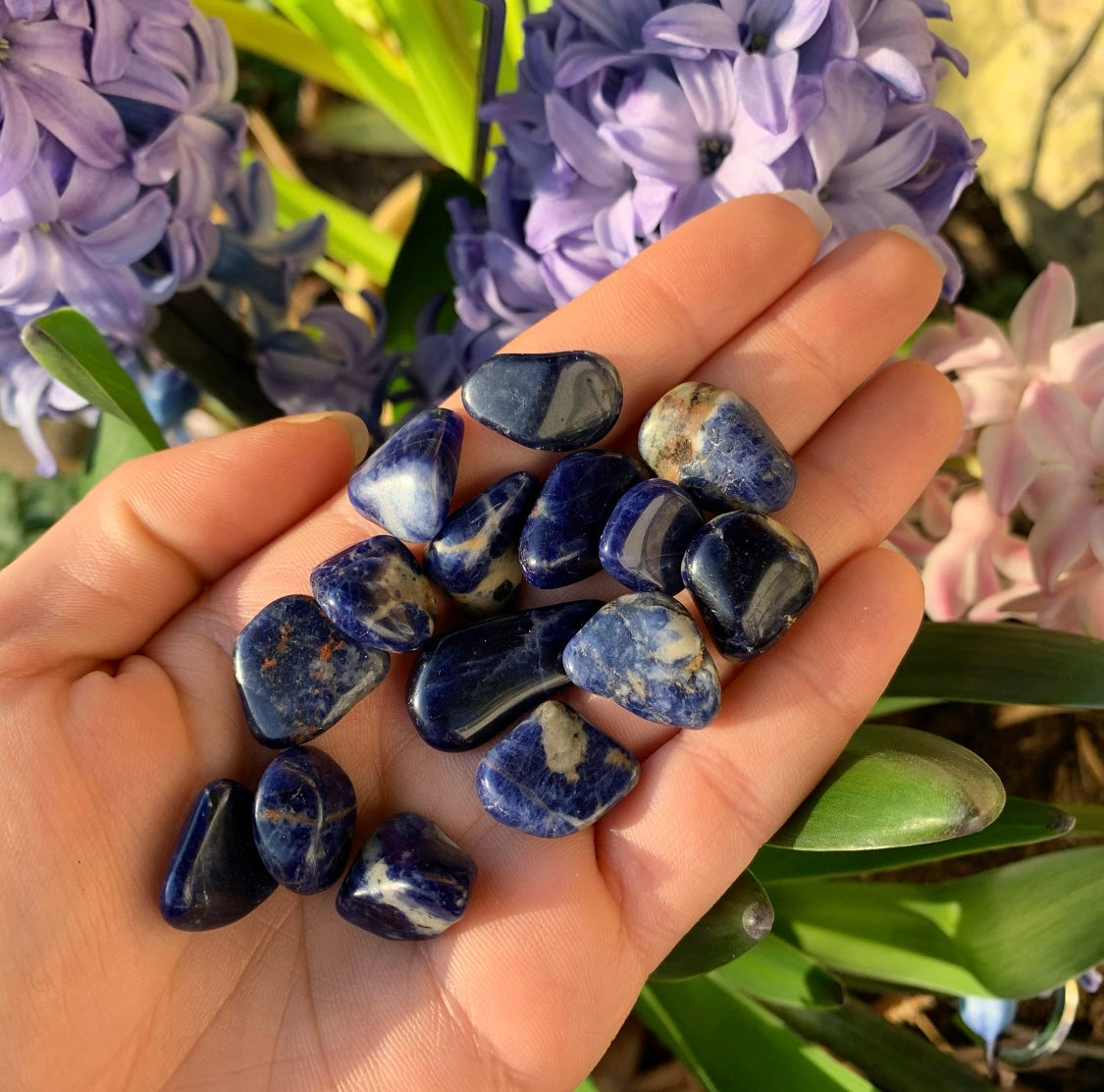 Sodalite Tumblestones