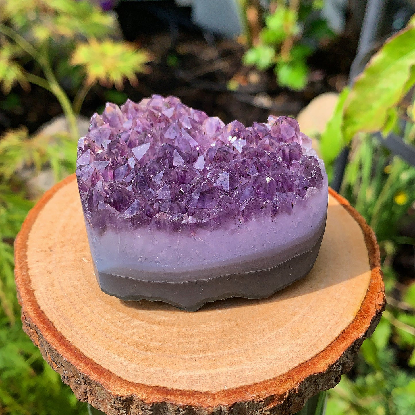 Raw Amethyst Heart Cluster