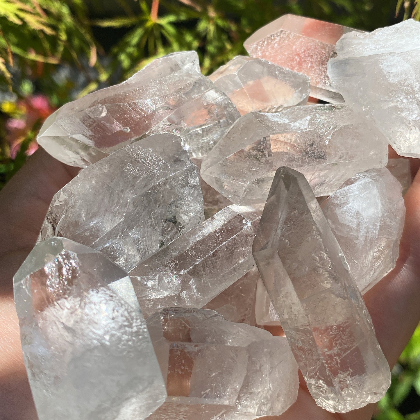 Clear Quartz Raw Crystal Points