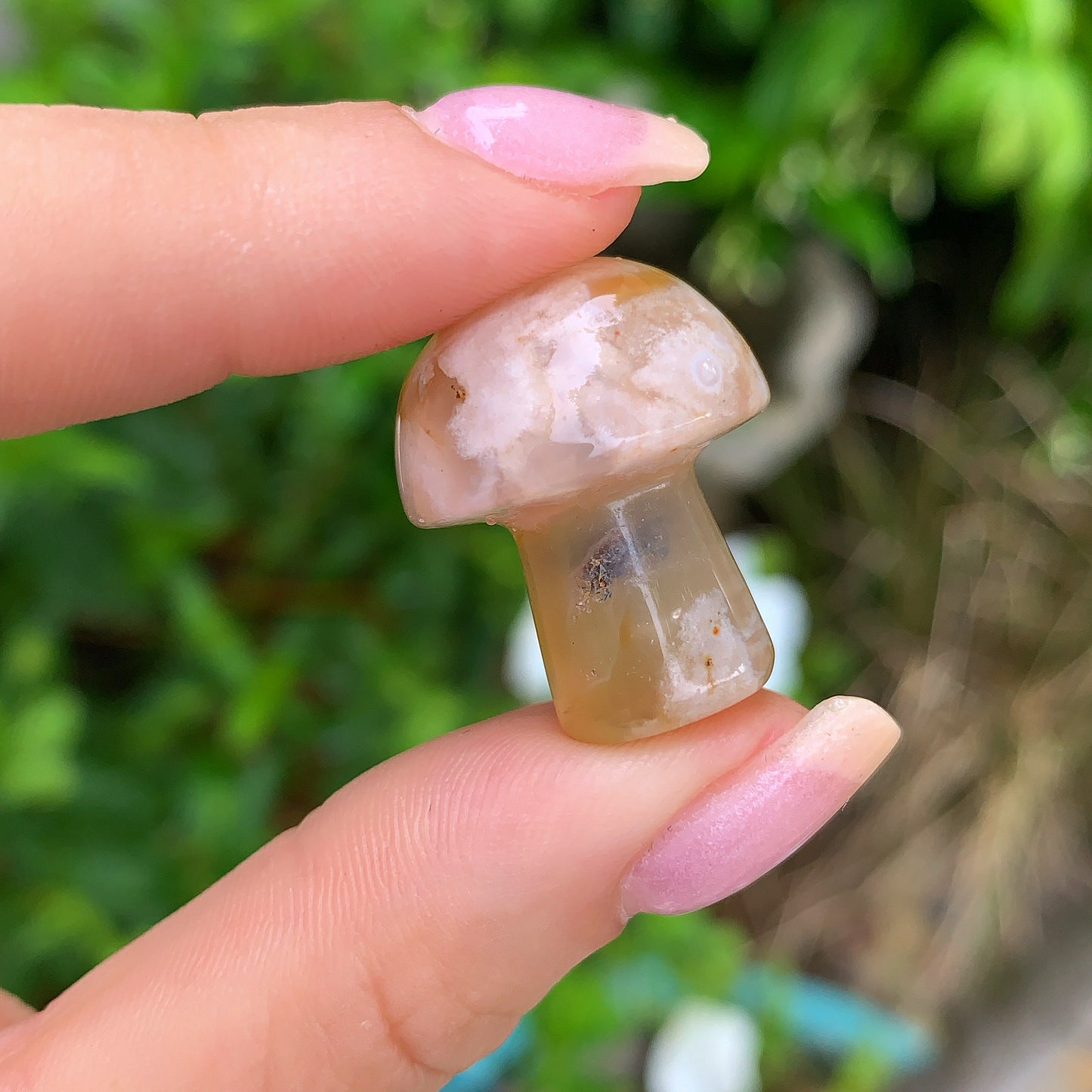 Coral Jade Mushroom