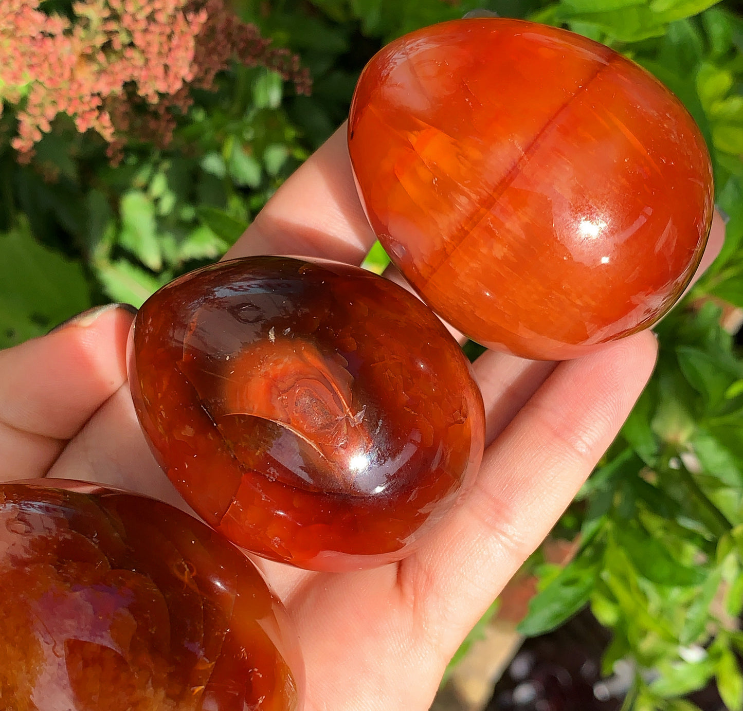 Carnelian Eggs